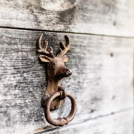 Fohlenwies - Romantische Berghuette In Alleinlage Osttirol Holiday home *