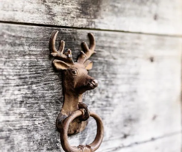 Fohlenwies Huette Dolomiten בית נופש *